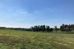 4354 Brubaker Wy, Ijamsville, MD 21754 - Photo 2