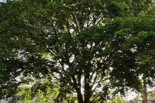 1820 Millstream Dr, Frederick, MD 21702 - Photo 50