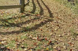 6735 Burkittsville Rd, Middletown, MD 21769 - Photo 18