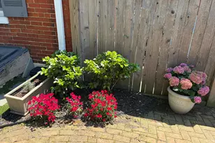 121 W Church St, Frederick, MD 21701 - Photo 70