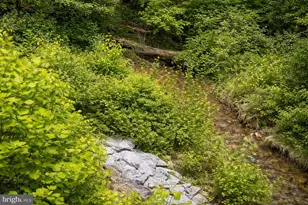 Potomac St, Brunswick, MD 21716 - Photo 1