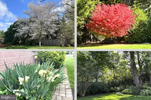 5637 Morning Glory Trail, New Market, MD 21774 - Photo 42