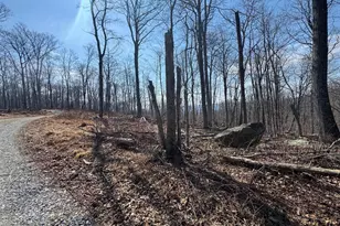 Middle Point Rd, Myersville, MD 21773 - Photo 1