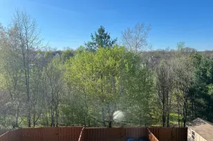 131 Fiona Way, Brunswick, MD 21758 - Photo 22