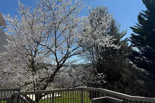 6955 Fair Ln, New Market, MD 21774 - Photo 2