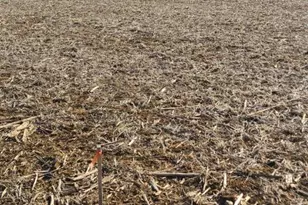 12417 Pleasant Walk Rd, Myersville, MD 21773 - Photo 12