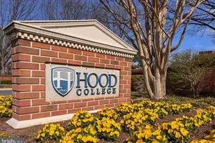 517 Fairview Ave, Frederick, MD 21701 - Photo 34