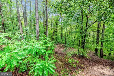 6838 Mountain Church Road, Middletown, MD 21769 - Photo 48