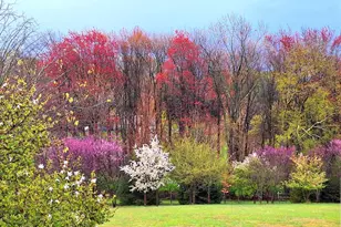 13789 Blythedale, Mount Airy, MD 21771 - Photo 4