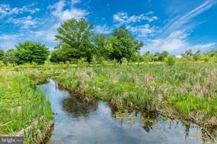 2 N 2nd St, Woodsboro, MD 21798 - Photo 70