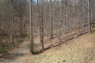 5019 Old Swimming Pool Rd, Frederick, MD 21703 - Photo 20