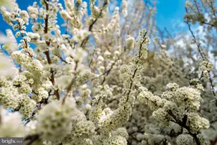 9215 Shafers Mill Dr, Frederick, MD 21704 - Photo 6