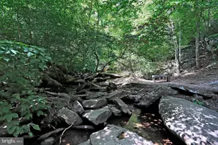 5941 Tomahawk St, New Market, MD 21774 - Photo 72