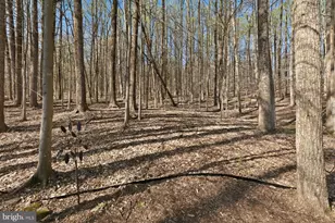 6806 Forest Park Ct, New Market, MD 21774 - Photo 6