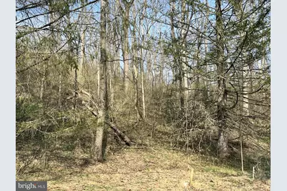 17310 Sunshine Trail, Sabillasville, MD 21780 - Photo 4