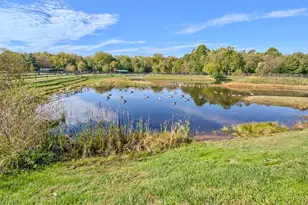 6509 Wiltshire Rd, Frederick, MD 21703 - Photo 34