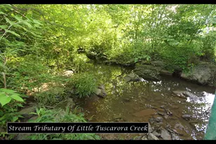 7935 Edgewood Farm Rd, Frederick, MD 21702 - Photo 54