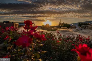 301 W 7th St, Frederick, MD 21701 - Photo 38