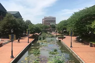 5607 Tallyn Hunt Pl, Frederick, MD 21704 - Photo 12