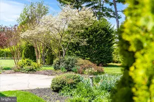 417 Biggs Ave, Frederick, MD 21702 - Photo 54