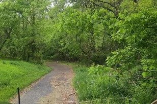 5703 Tobery Rd, Frederick, MD 21704 - Photo 32