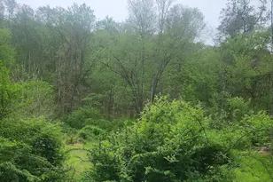 5703 Tobery Rd, Frederick, MD 21704 - Photo 34
