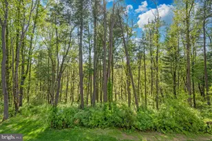 6113 Stonecat Ct, New Market, MD 21774 - Photo 24