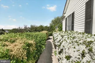 4813 Timber, Mount Airy, MD 21771 - Photo 2