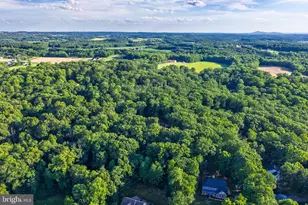 7616 Talbot Run Rd, Mount Airy, MD 21771 - Photo 102