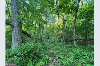 Edgemont Road, Frederick, MD 21702 - Photo 6