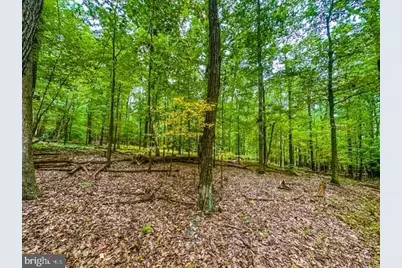 Rum Springs Road, Myersville, MD 21773 - Photo 6