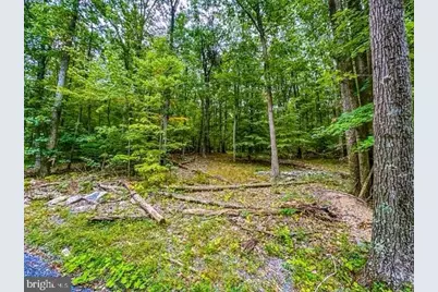 Rum Springs Road, Myersville, MD 21773 - Photo 2