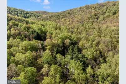 13170 Catoctin Hollow Road, Thurmont, MD 21788 - Photo 34