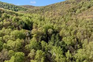 13170 Catoctin Hollow Rd, Thurmont, MD 21788 - Photo 34