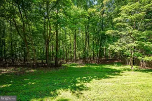 4420 Highboro Dr, Mount Airy, MD 21771 - Photo 52