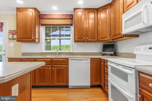 24 Young Branch Dr, Middletown, MD 21769 - Photo 12