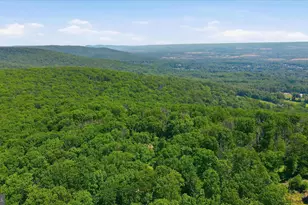8209 Gambrill Park Rd, Frederick, MD 21702 - Photo 42