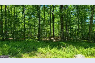 Mink Farm Road, Thurmont, MD 21788 - Photo 1