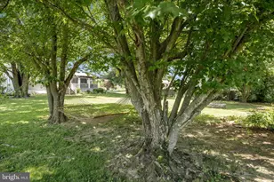 8914 Gloria Ave, Middletown, MD 21769 - Photo 54