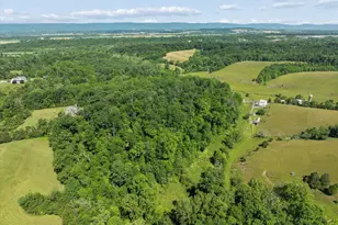 10701 Bennie Duncan Rd, Frederick, MD 21701 - Photo 70