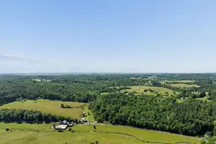 10701 Bennie Duncan Rd, Frederick, MD 21701 - Photo 74