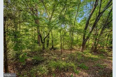 3534 Winthrop Lane, Frederick, MD 21704 - Photo 42