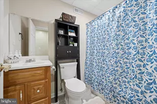 604 Bushytail Dr, Frederick, MD 21703 - Photo 48