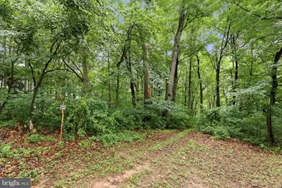 4990 Flossie Avenue, Frederick, MD 21703 - Photo 38