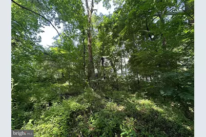 .30+/- Acres W Potomac St, Brunswick, MD 21716 - Photo 6