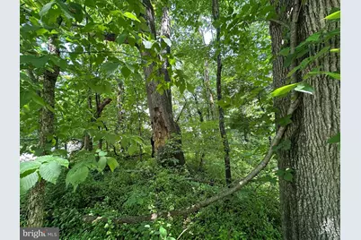 .30+/- Acres W Potomac St, Brunswick, MD 21716 - Photo 4