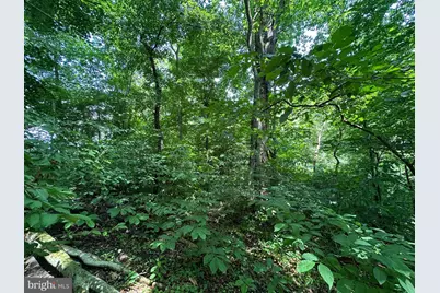 .30+/- Acres W Potomac St, Brunswick, MD 21716 - Photo 8