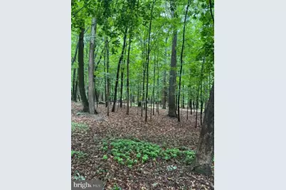 9810 Woodsboro Road, Frederick, MD 21701 - Photo 8