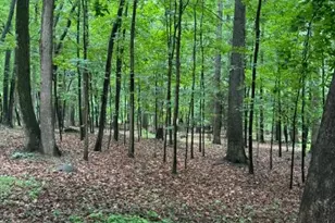 9810 Woodsboro Rd, Frederick, MD 21701 - Photo 8