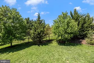 6914 Cardozo St, New Market, MD 21774 - Photo 50